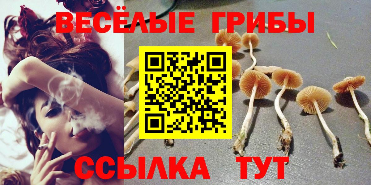 Псилоцибиновые грибы Magic Shrooms  Вход с VPN  Скопин 