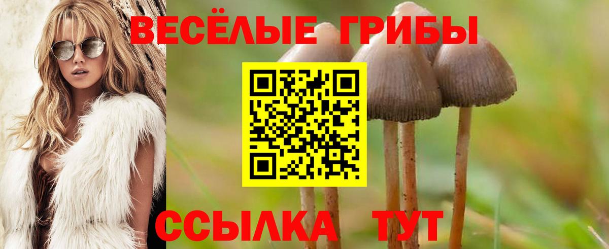 Псилоцибиновые грибы прущие грибы Скопин